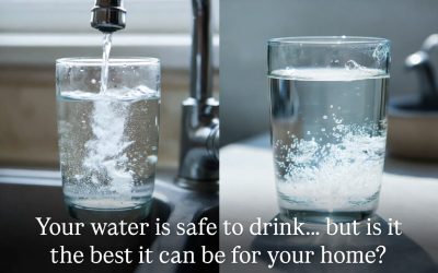 What’s Actually in Your Water? (And Why It Matters)